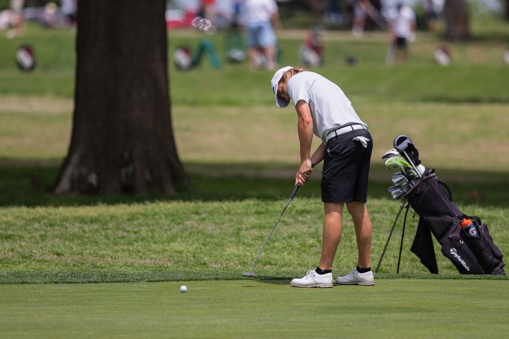 Class 4 boys golf state tournament, final round